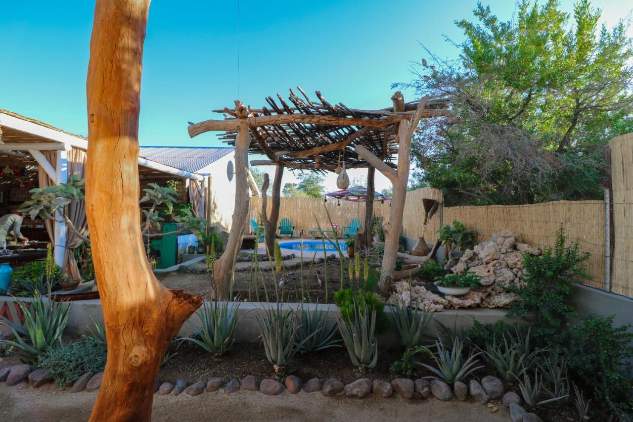 The Desert House Uis المظهر الخارجي الصورة